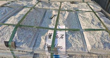 辽宁芝麻白蘑菇石，自然面